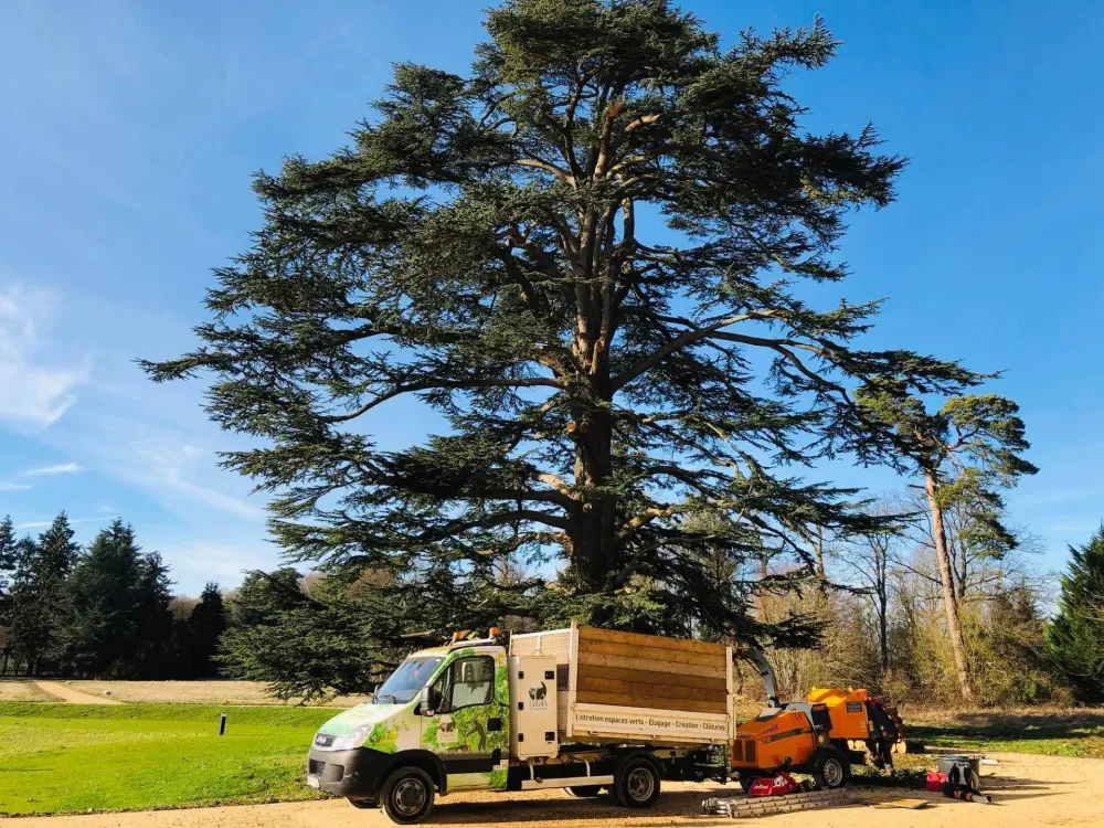 Engins et outils pour la taille et l'abbattage (2)